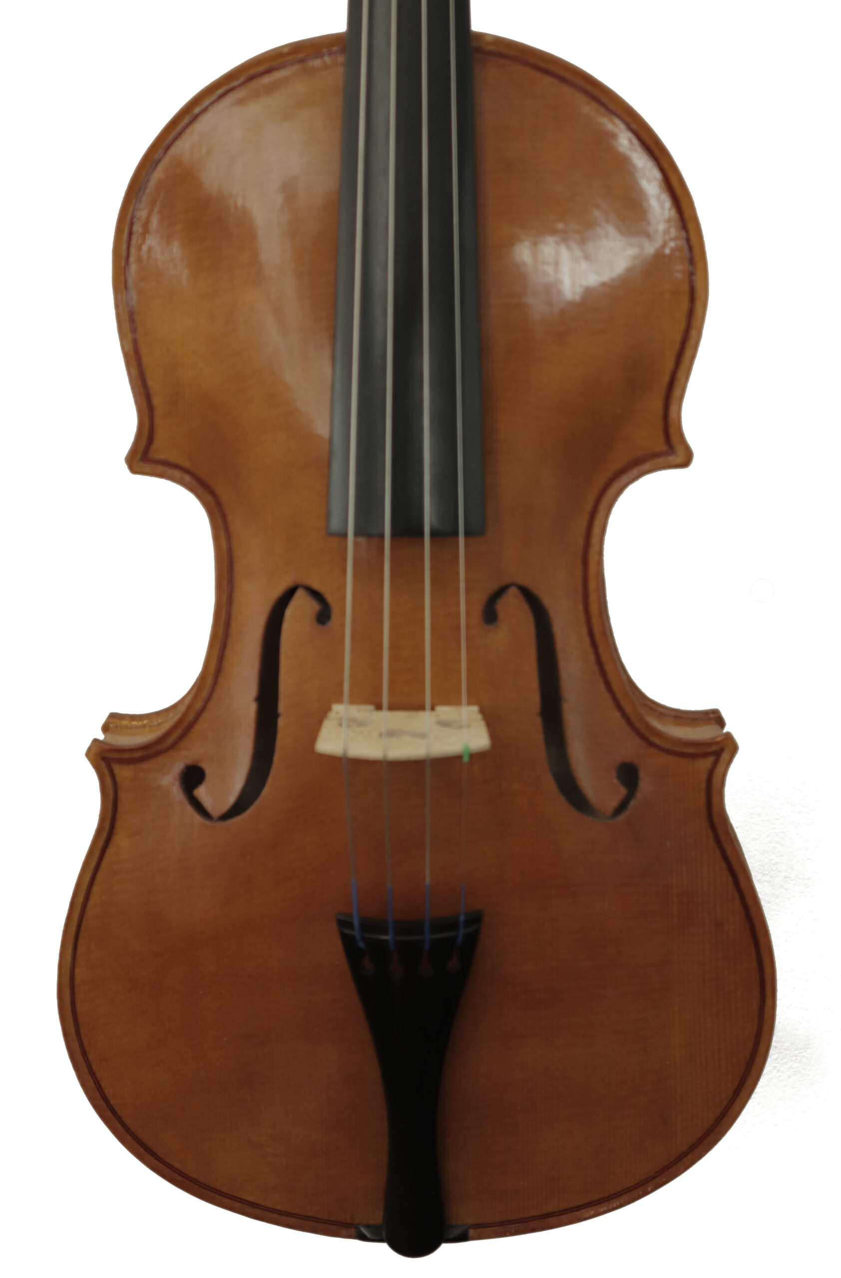 Front plate of violin named Beget
