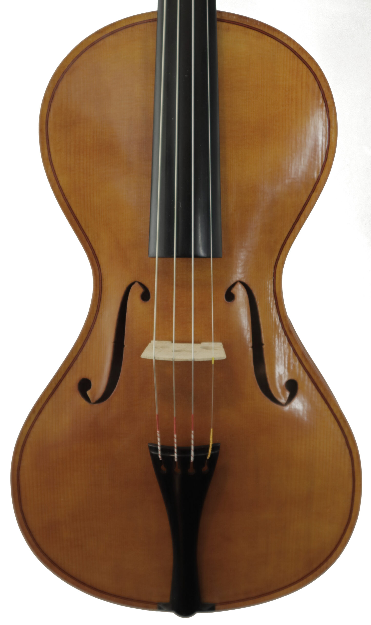 Front plate of violin named Verity