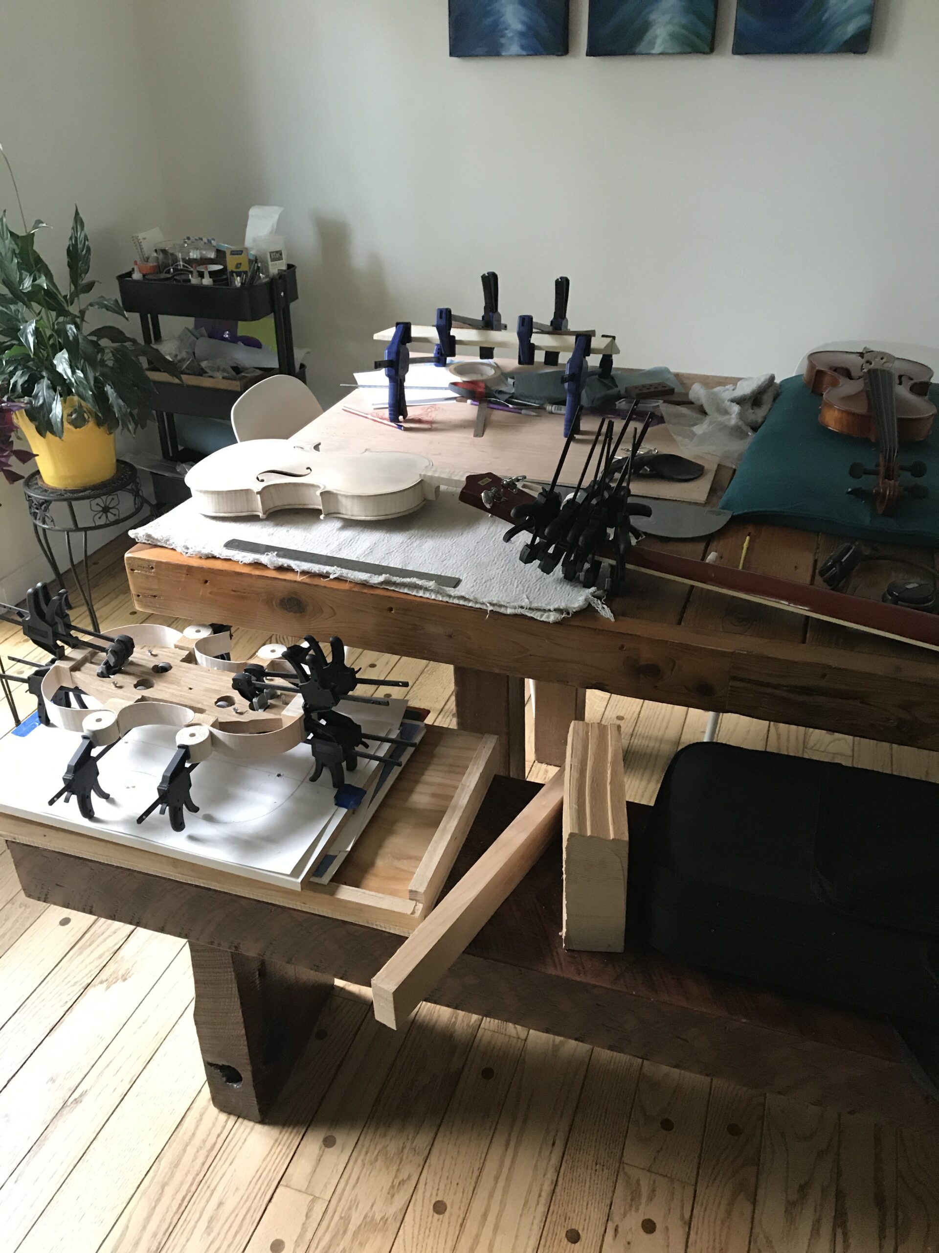My indoor workbench has four violins in various states of assembly
