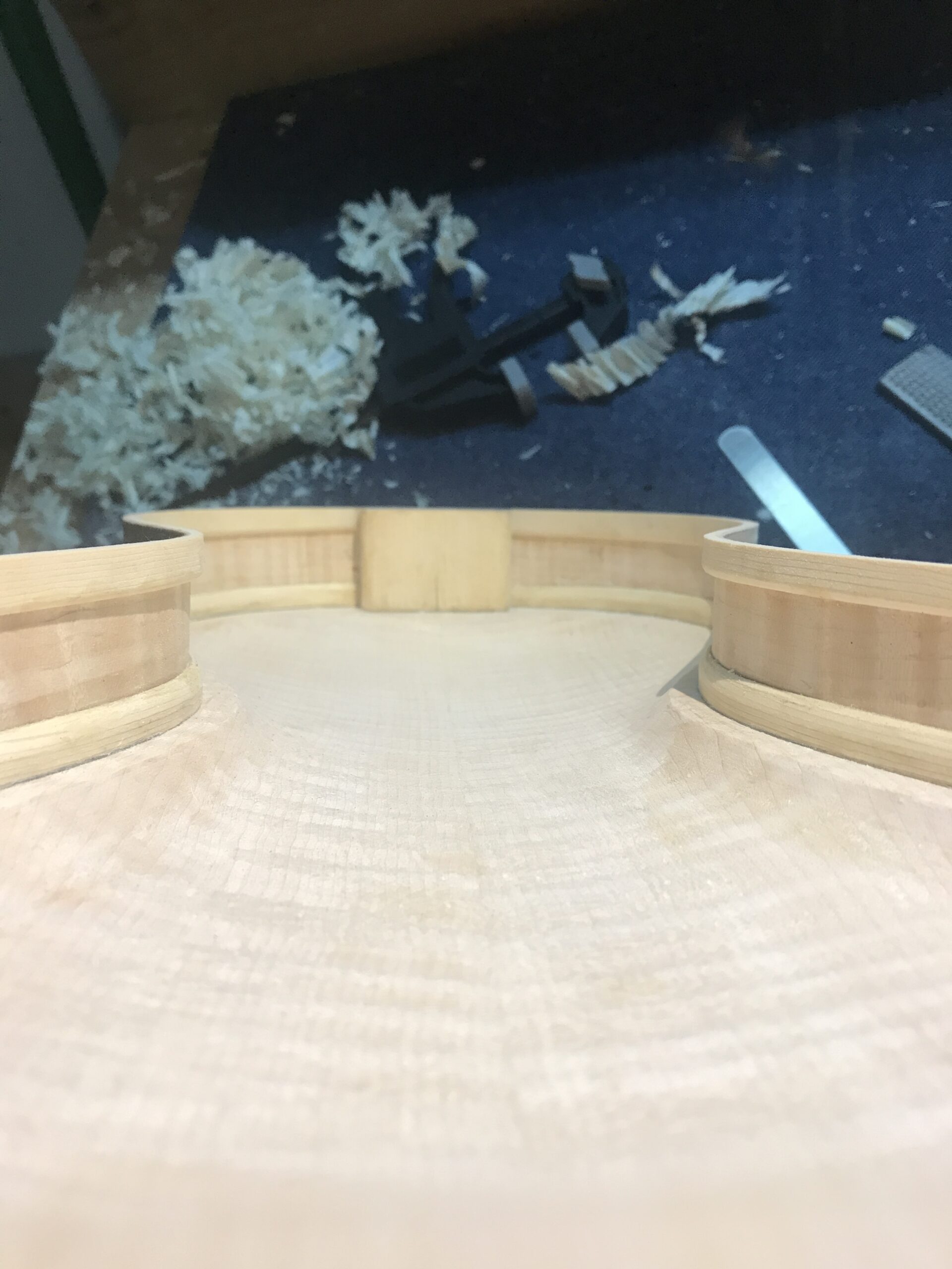 A violin rib and back glued together looking from inside rear to front