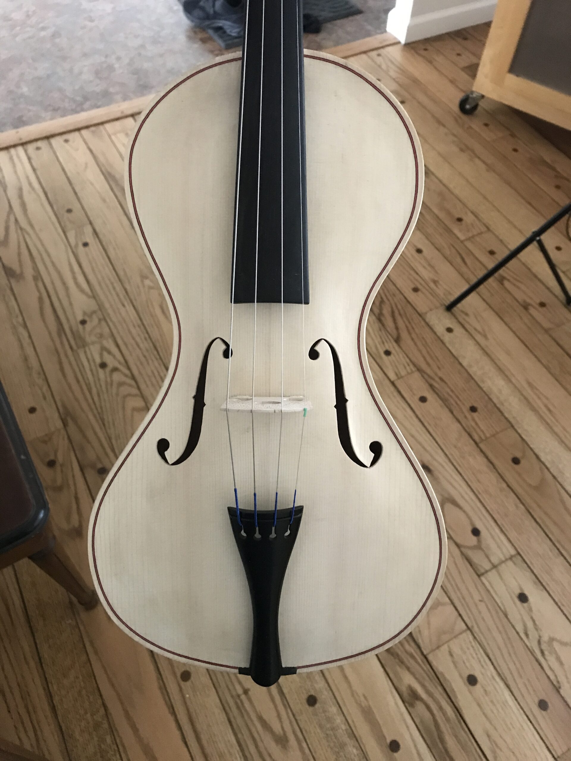 A violin in the white