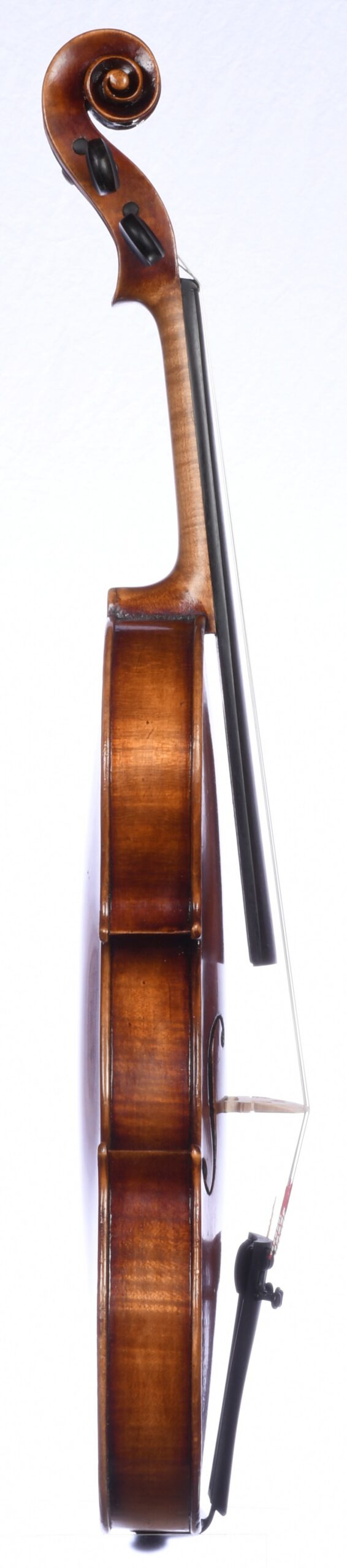 E.R. Pfretzschner 1953, Bass side
