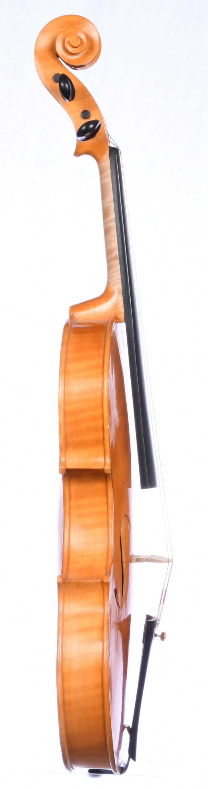Roman D. Clarkson 20-7, Back