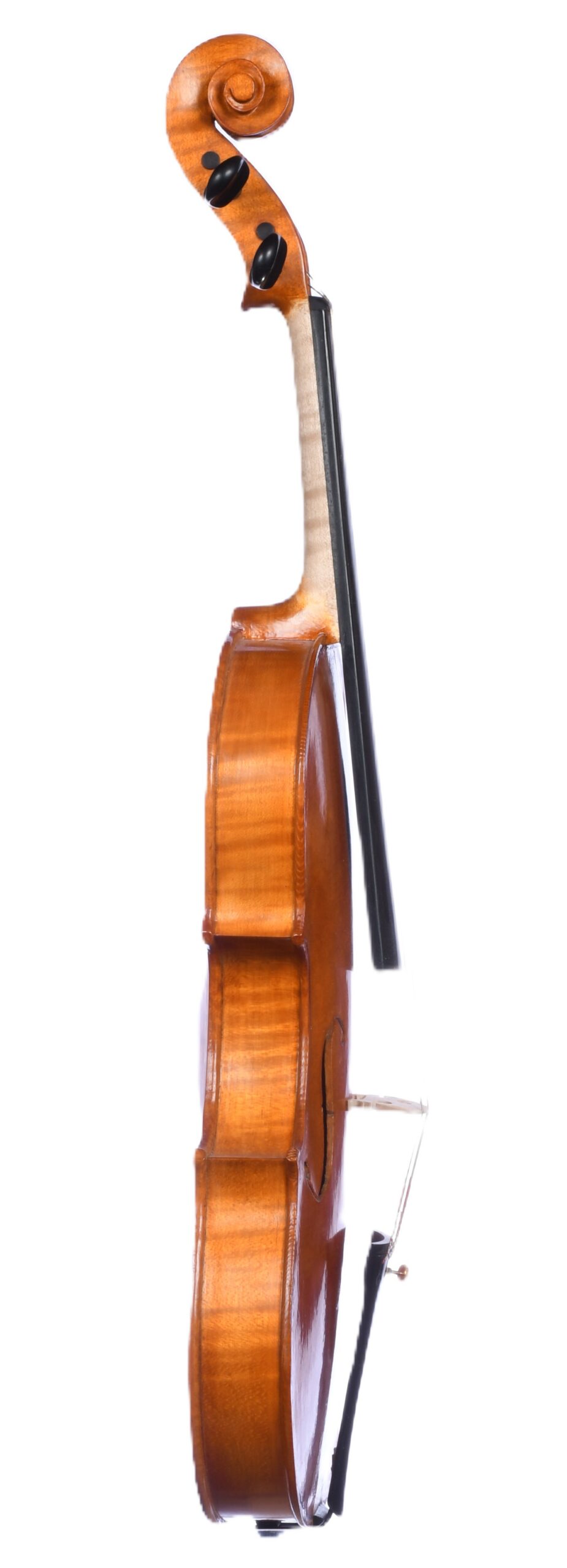 Roman D. Clarkson 21-1, Back
