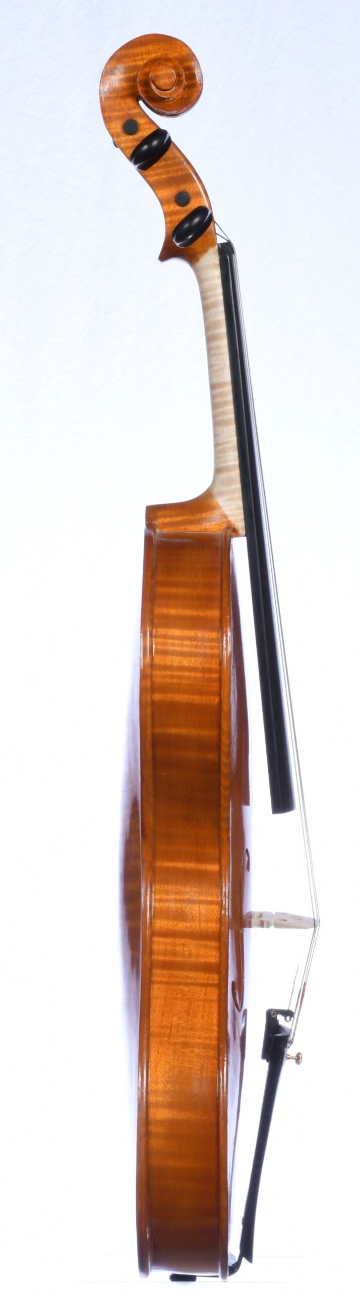 Roman D. Clarkson 21-3, Back