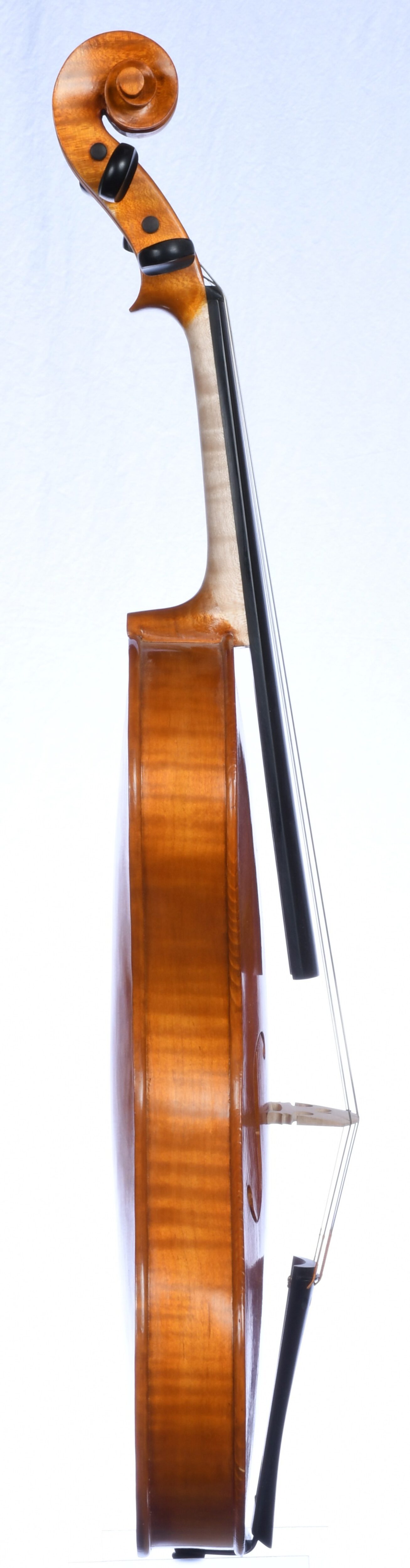 Roman D. Clarkson 21-4, Back