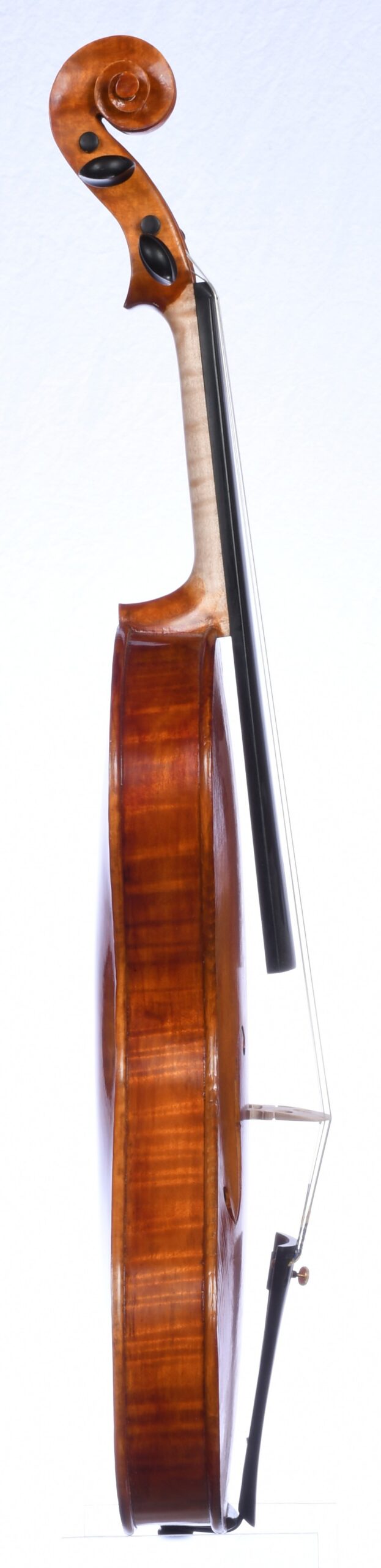 Roman D. Clarkson 22-1, Back