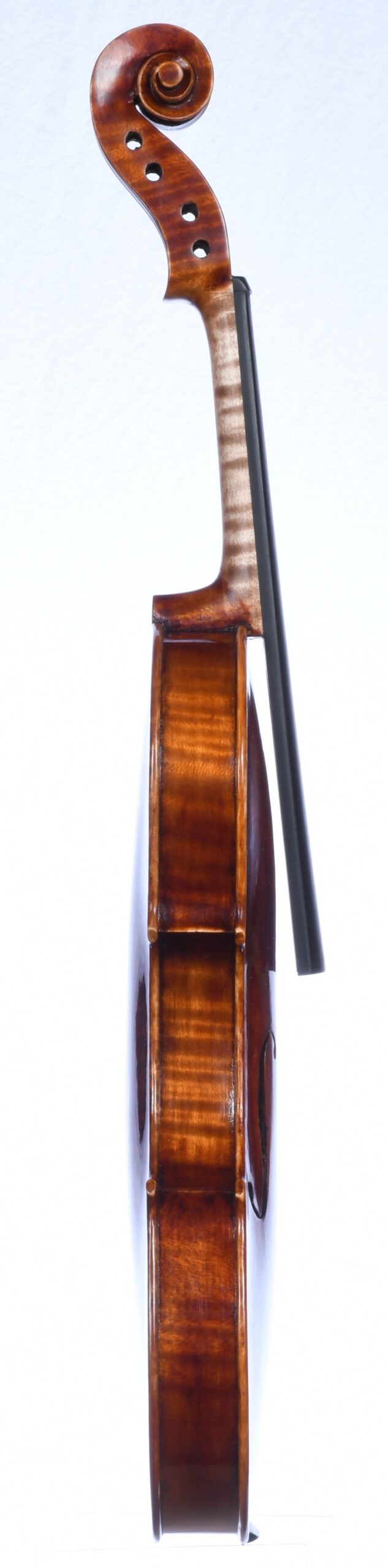 Roman D. Clarkson 23-1, Back