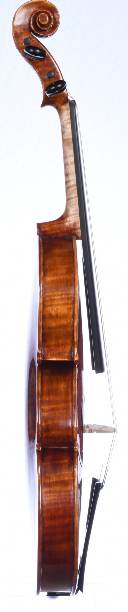 Roman D. Clarkson 26-1, Back