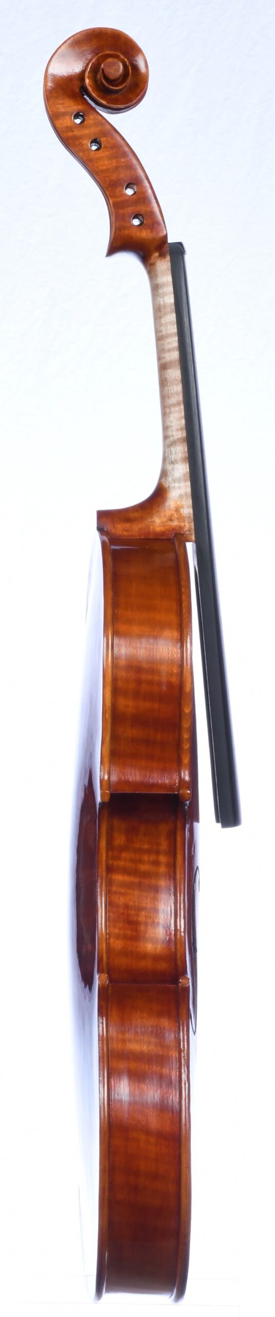 Roman D. Clarkson 26-2, Back