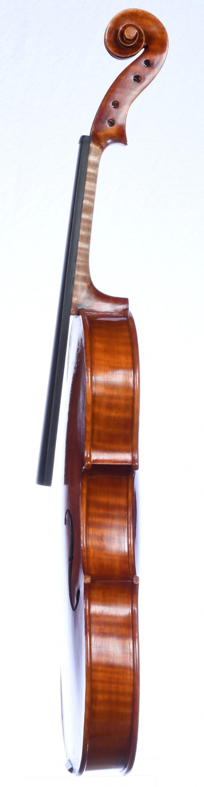 Roman D. Clarkson 26-2, Bass side